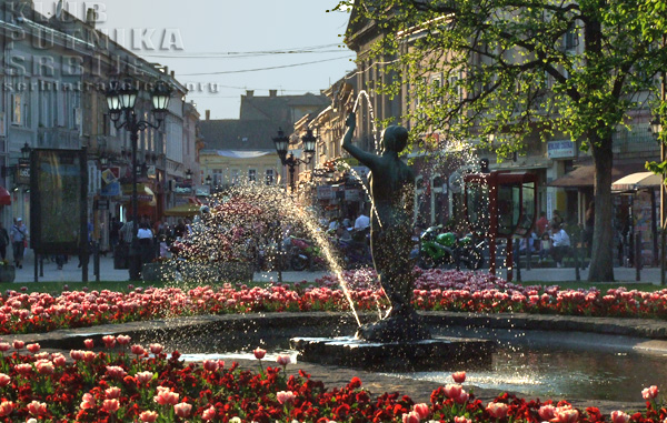 novi sad