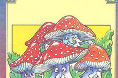 Mushroom Hunting in Russia